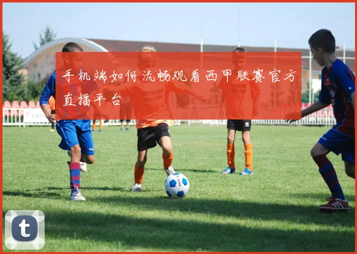 手机端如何流畅观看西甲联赛官方直播平台