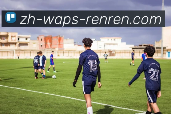 App Interface Preview