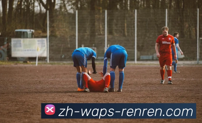 人人体育APP 封面图